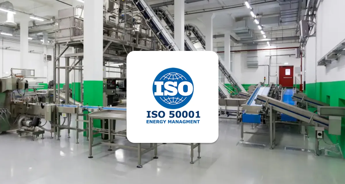Webinar ISO 50001 in einem Werk einführen